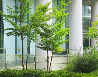 施工事例