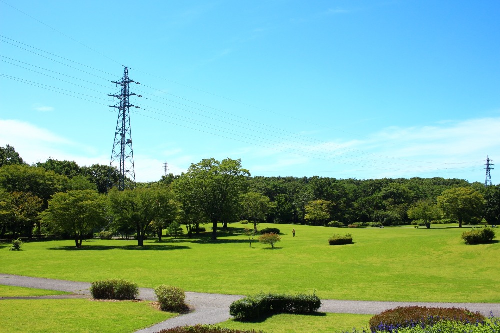 公園工事